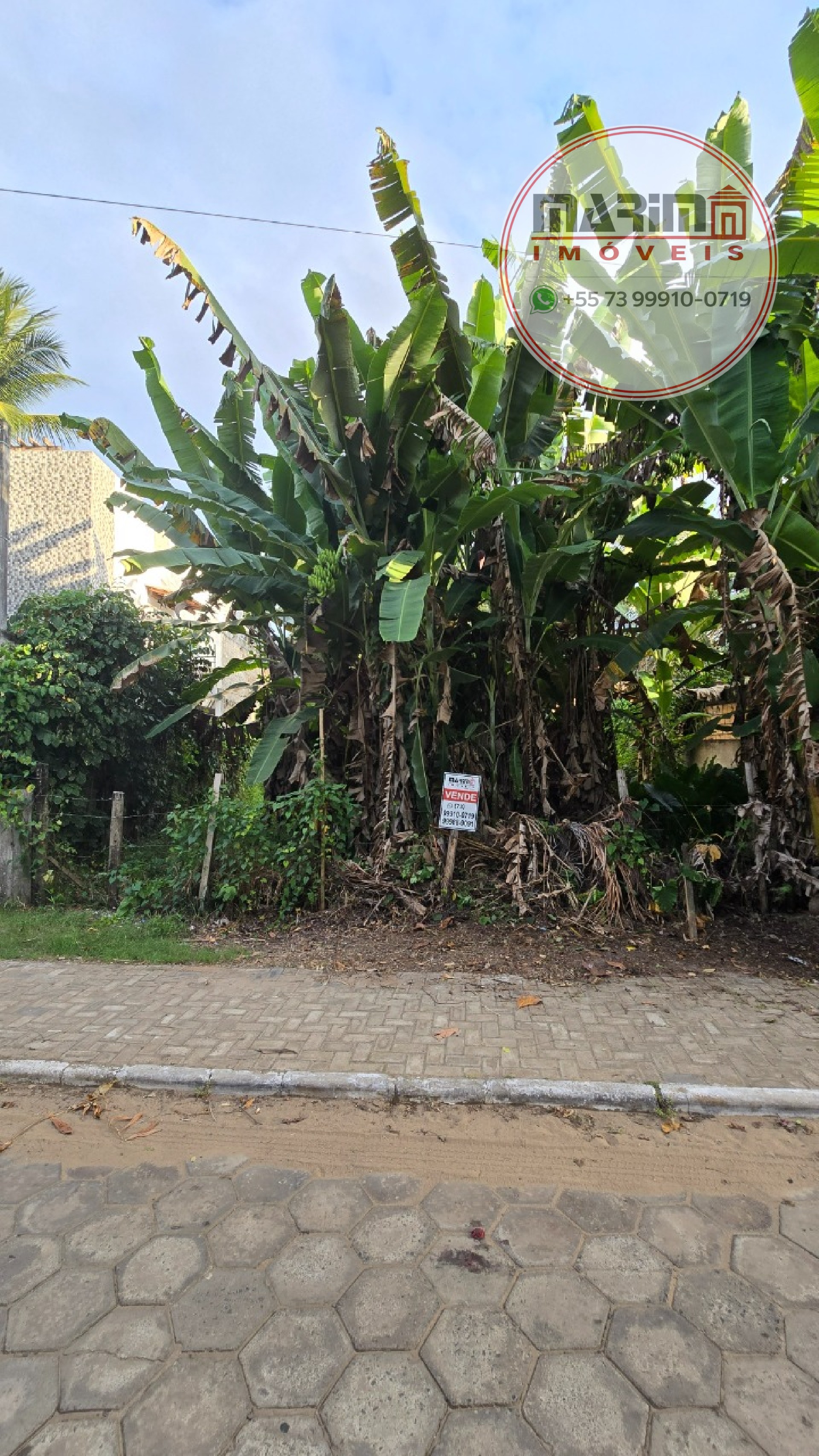 Terreno, 360 m² - Foto 3