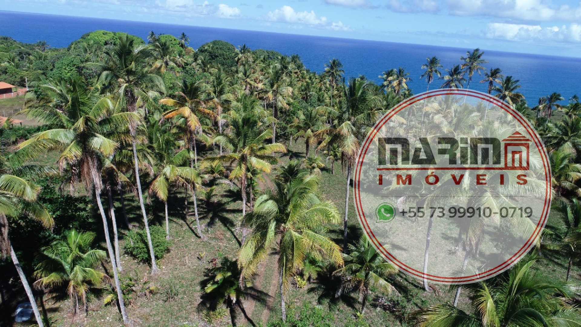 Terreno, 6 hectares - Foto 2