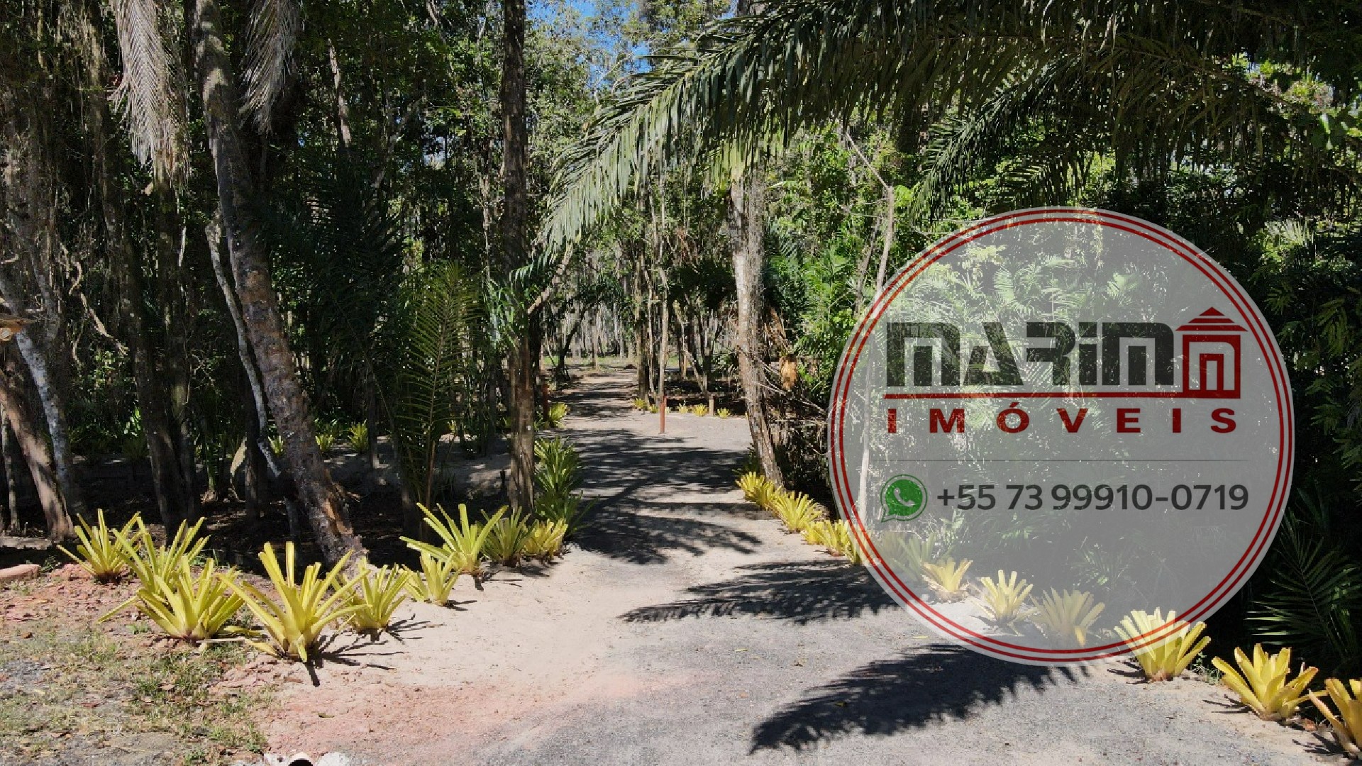 Terreno, 600 m² - Foto 3