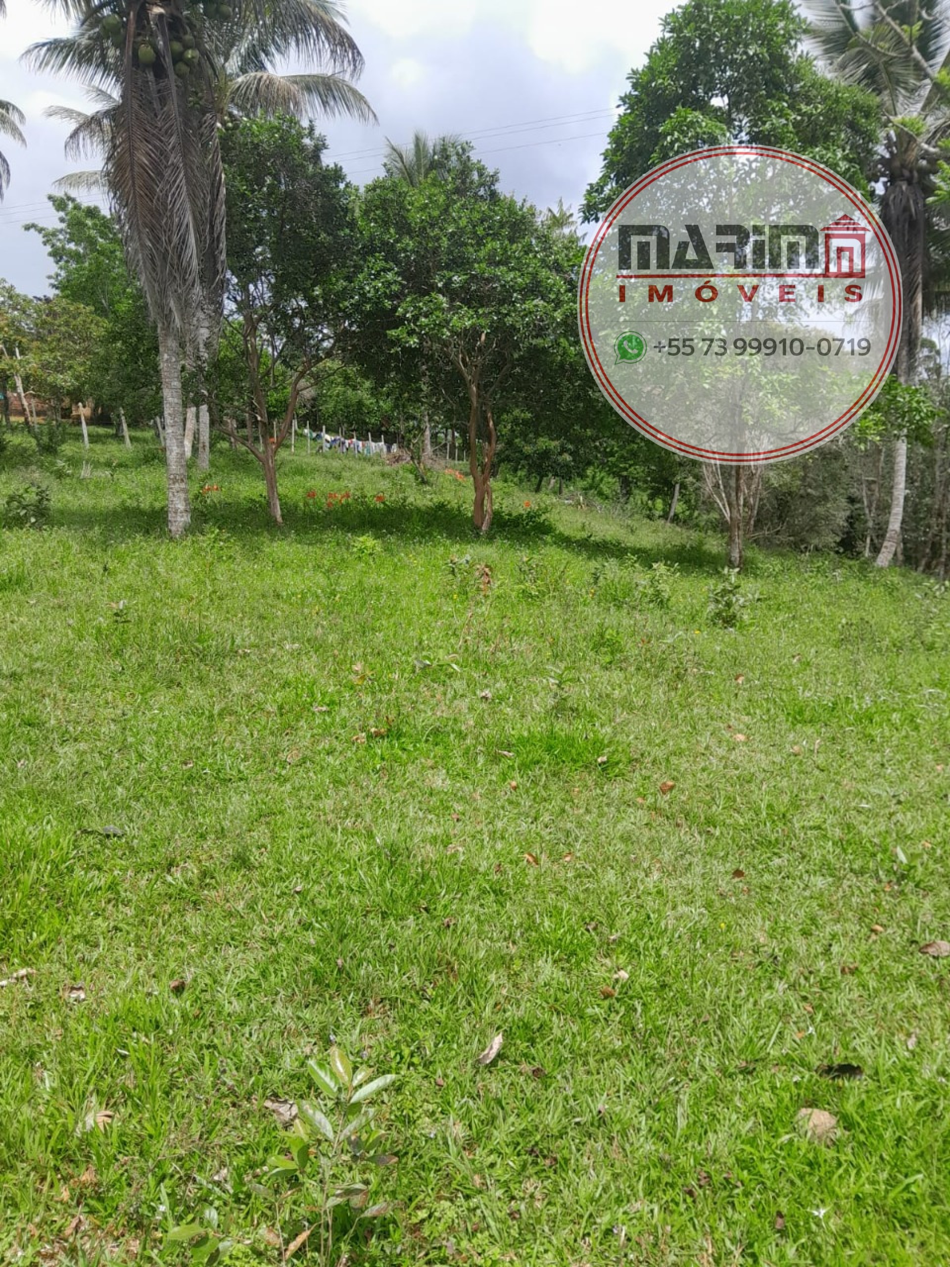 Sítio, 12 hectares - Foto 30