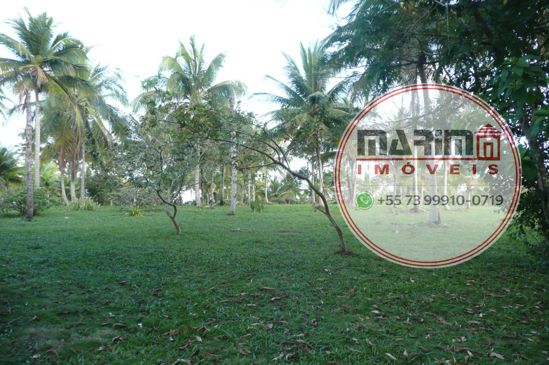 Terreno, 6 hectares - Foto 6