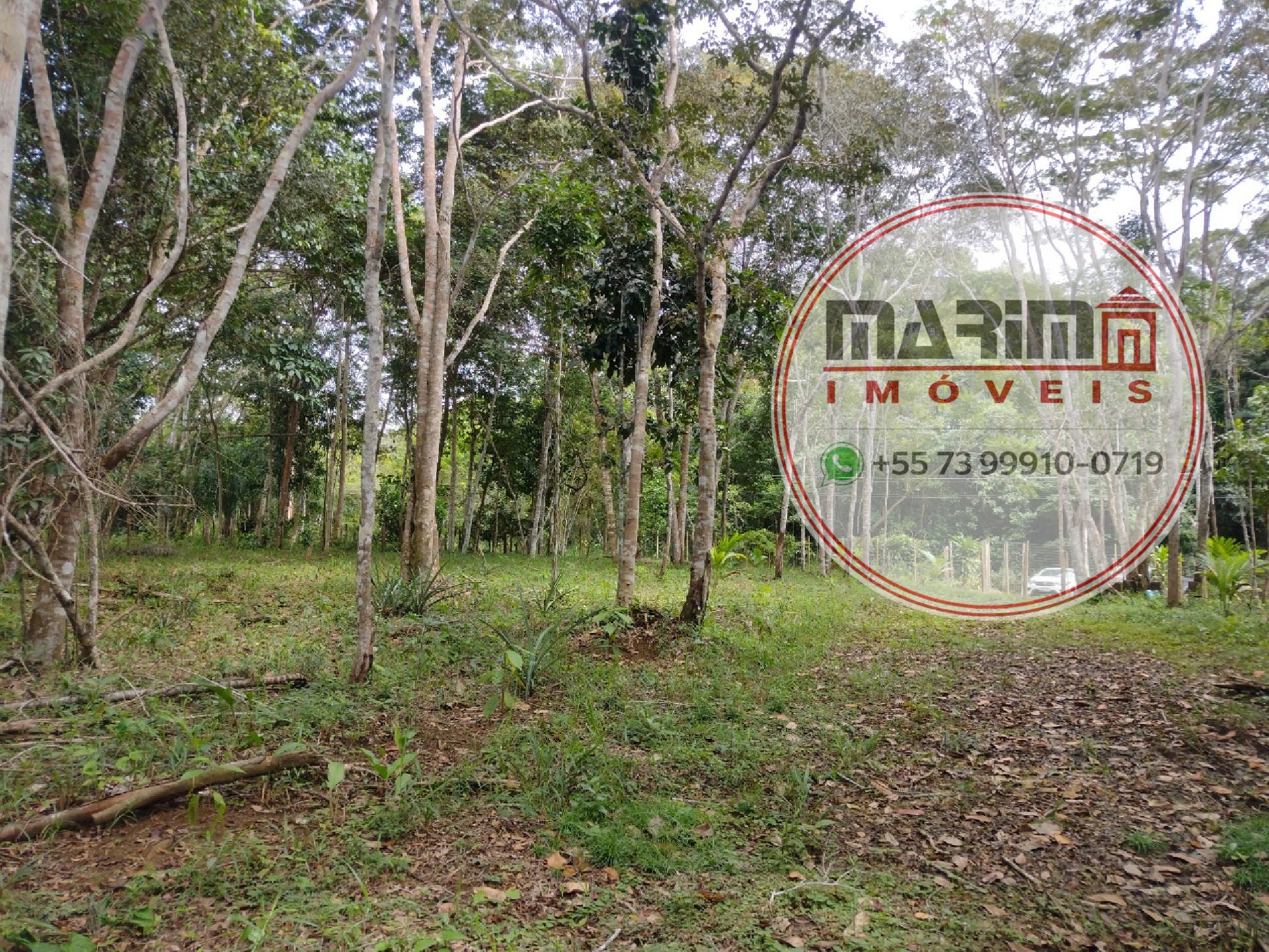 Terreno, 2 hectares - Foto 1