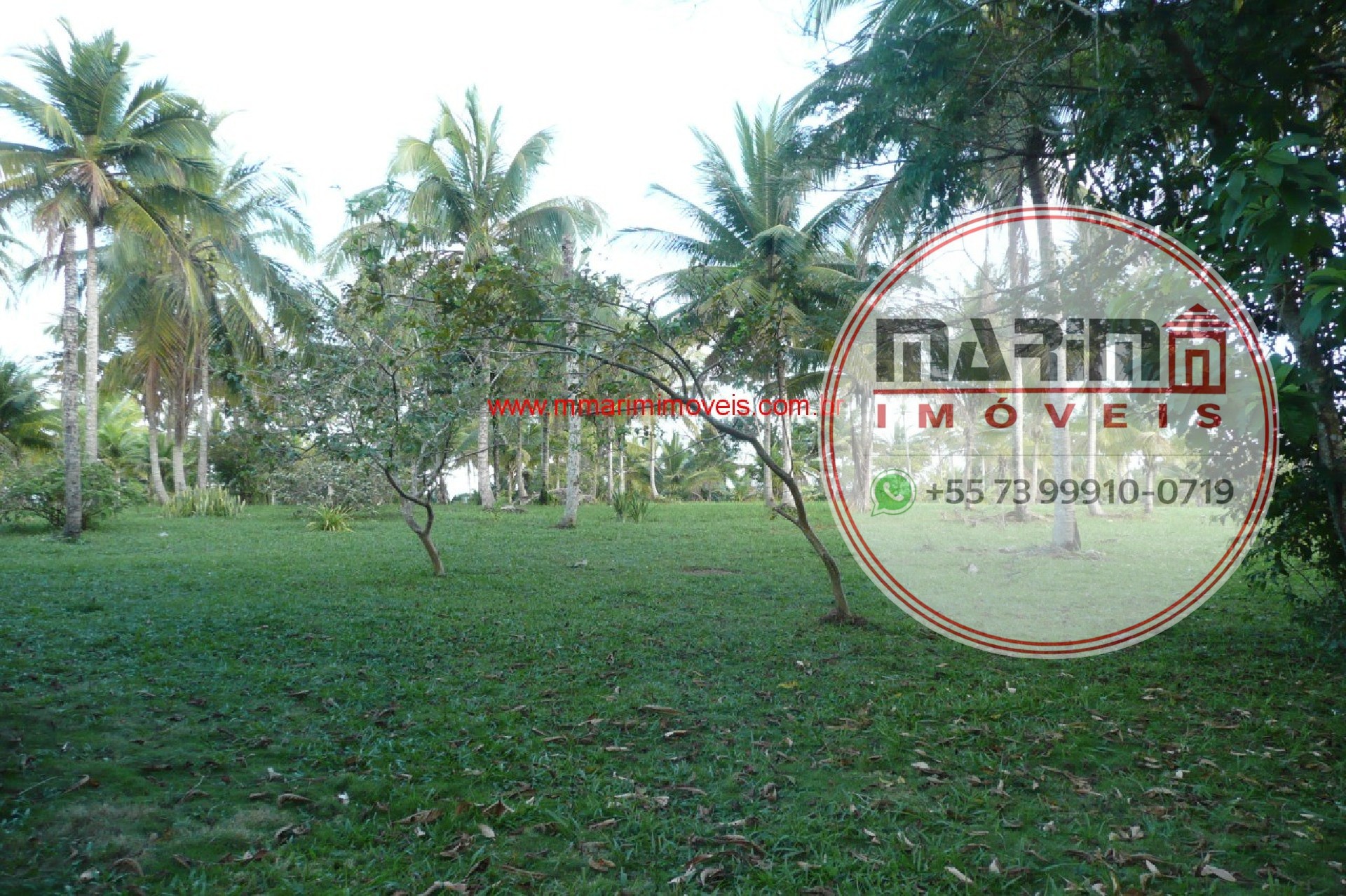 Terreno, 3 hectares - Foto 6