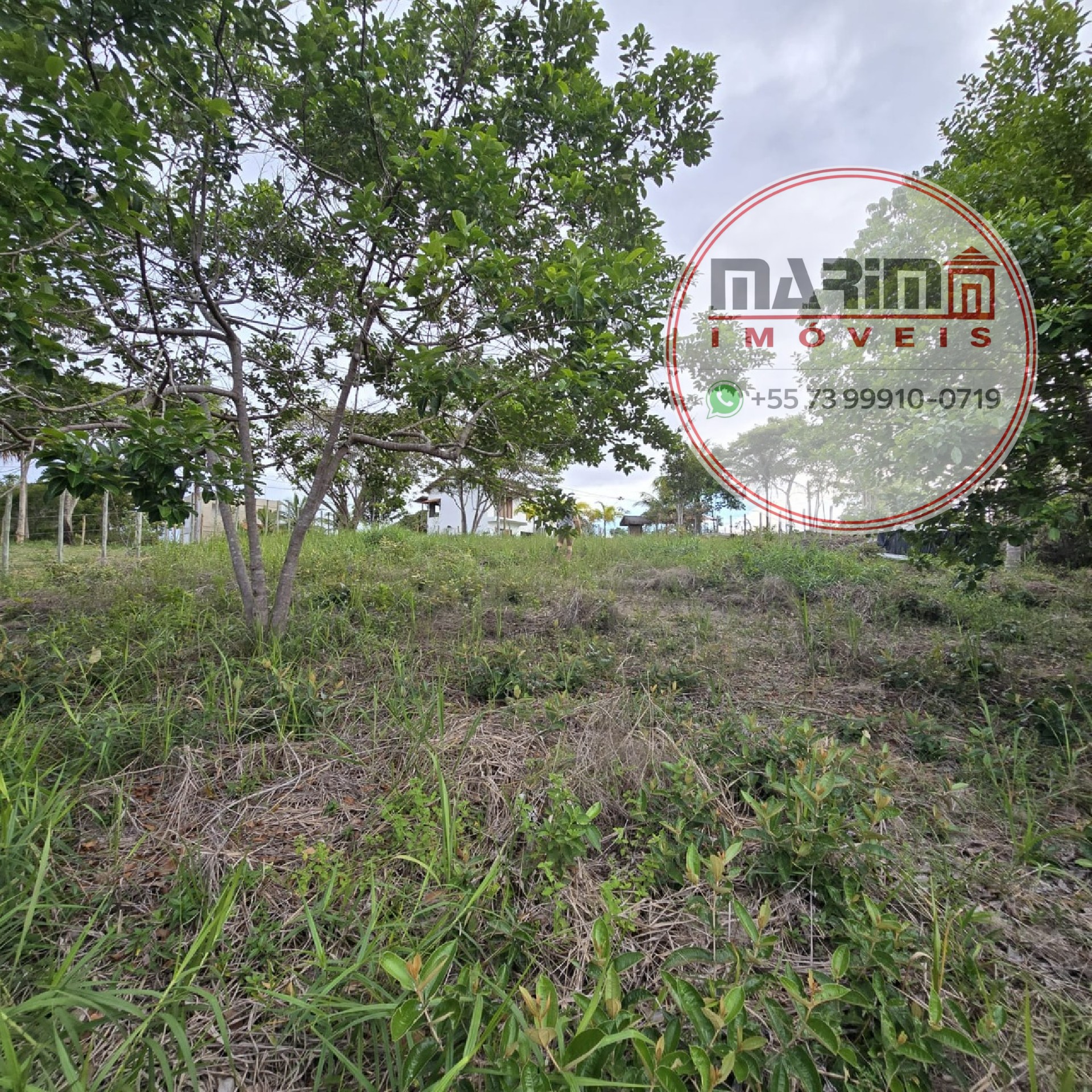 Terreno, 2800 m² - Foto 2