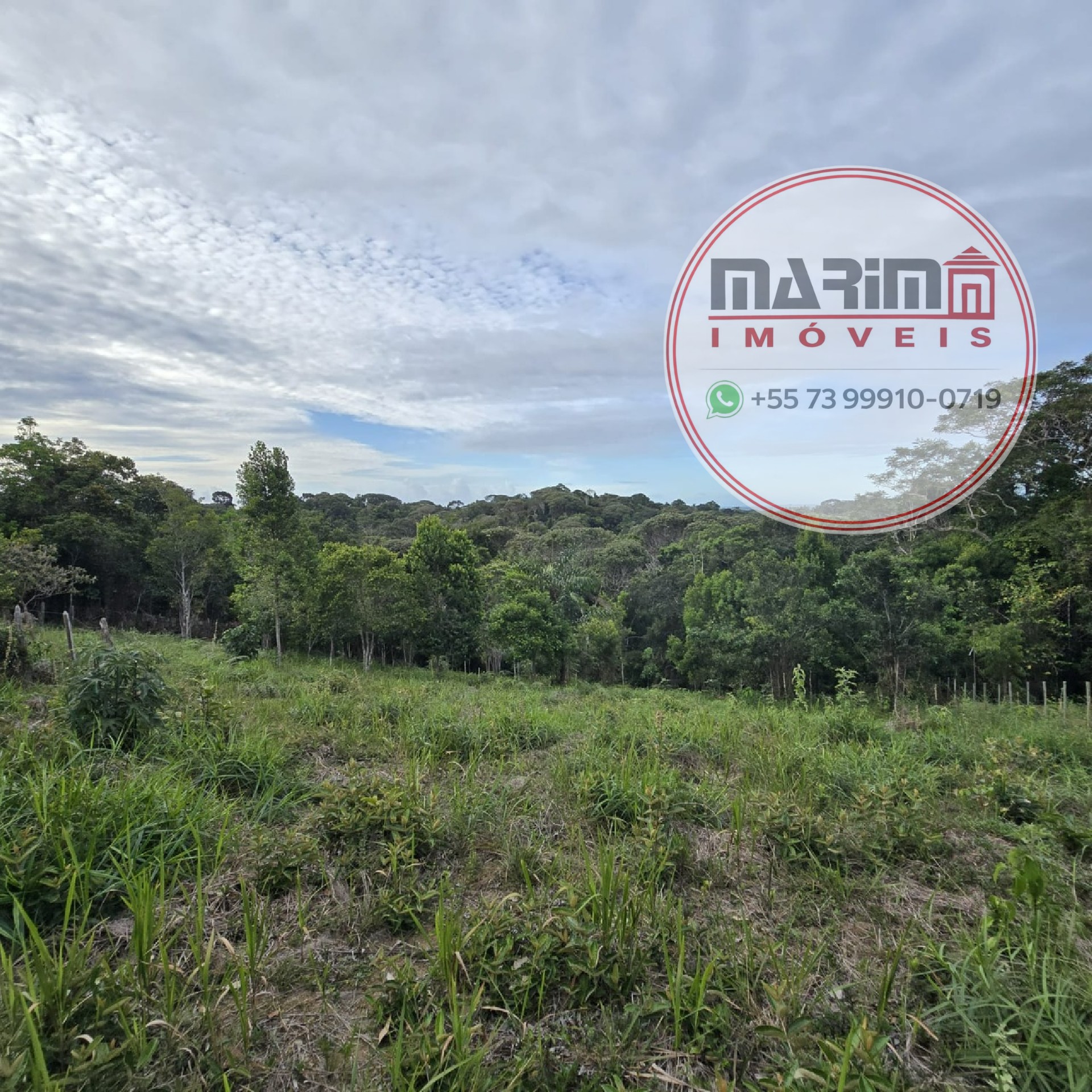 Terreno, 2800 m² - Foto 1