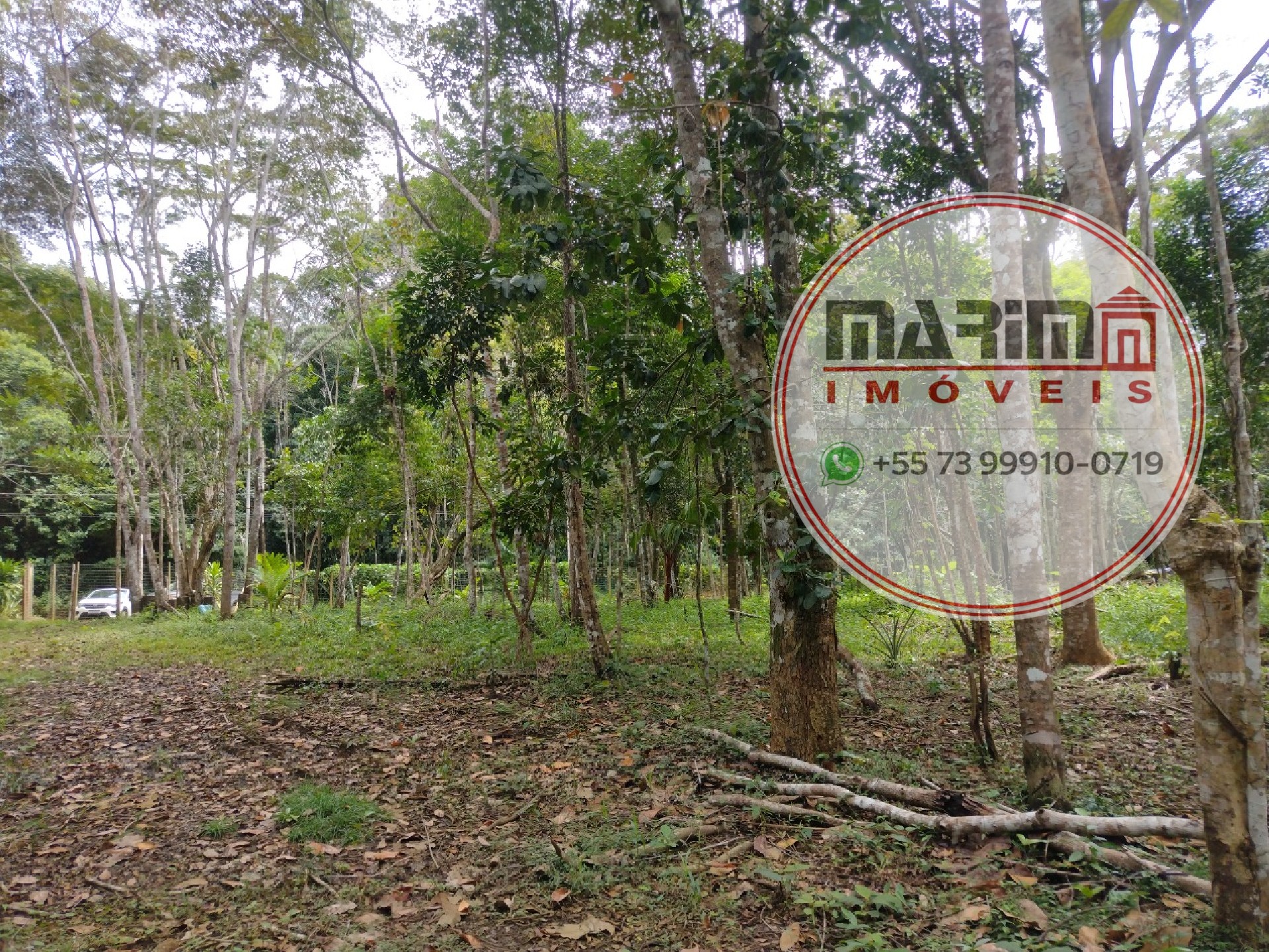Terreno, 2 hectares - Foto 3