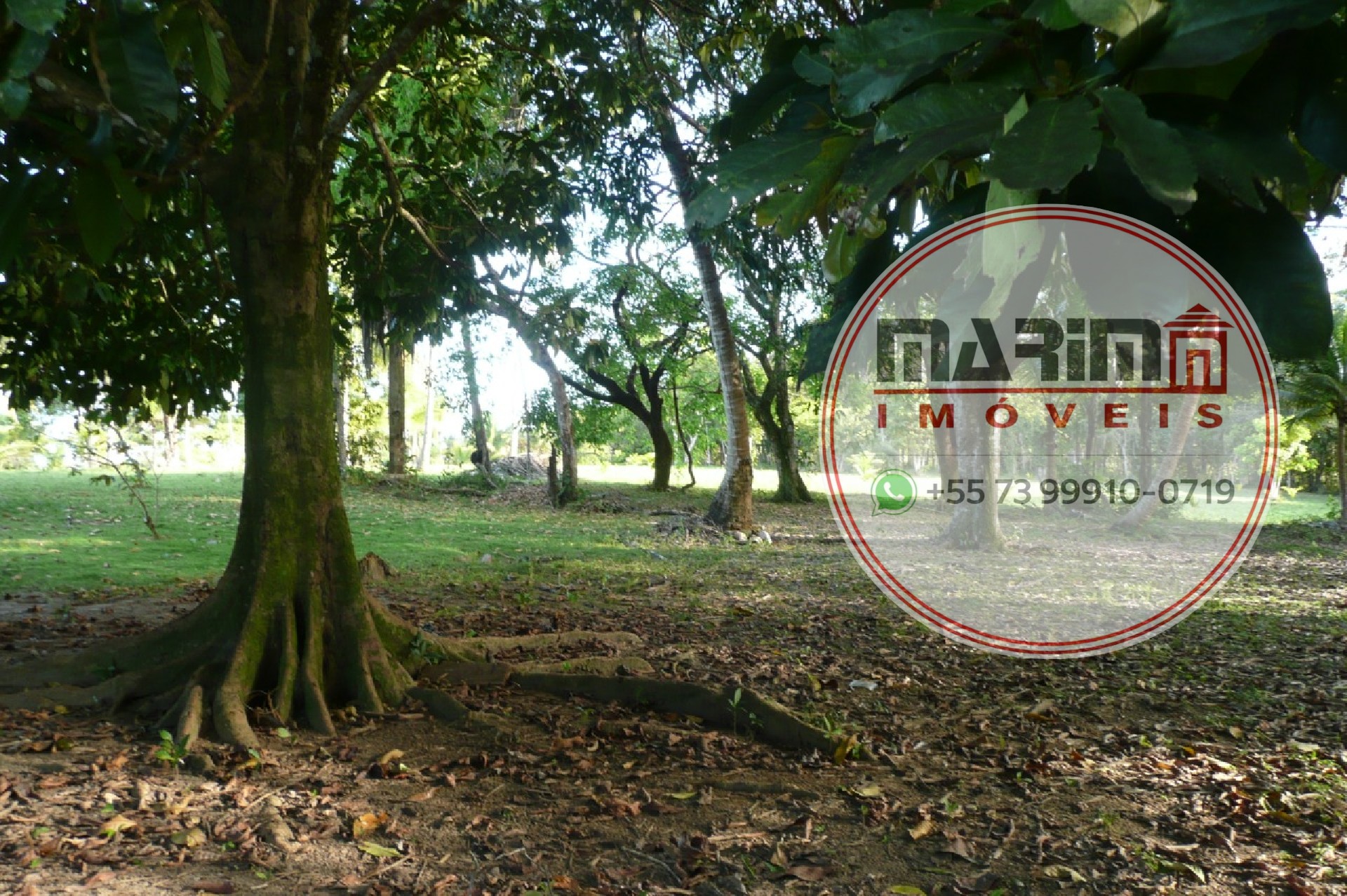 Terreno, 6 hectares - Foto 7