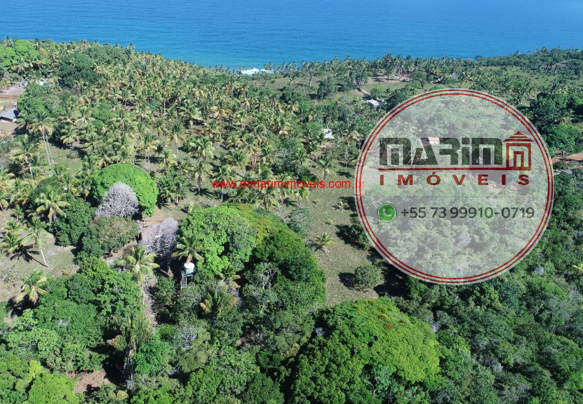 Terreno, 3 hectares - Foto 3