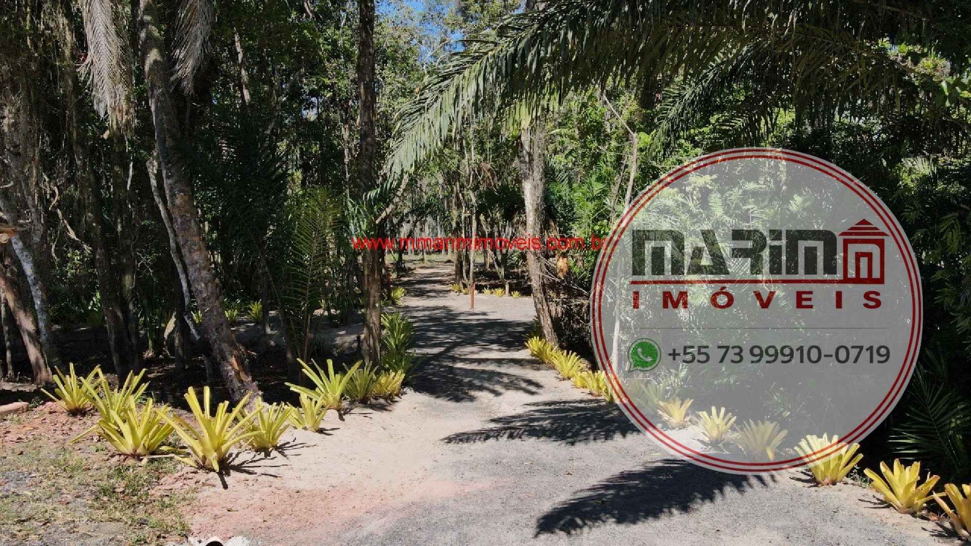 Terreno, 900 m² - Foto 3