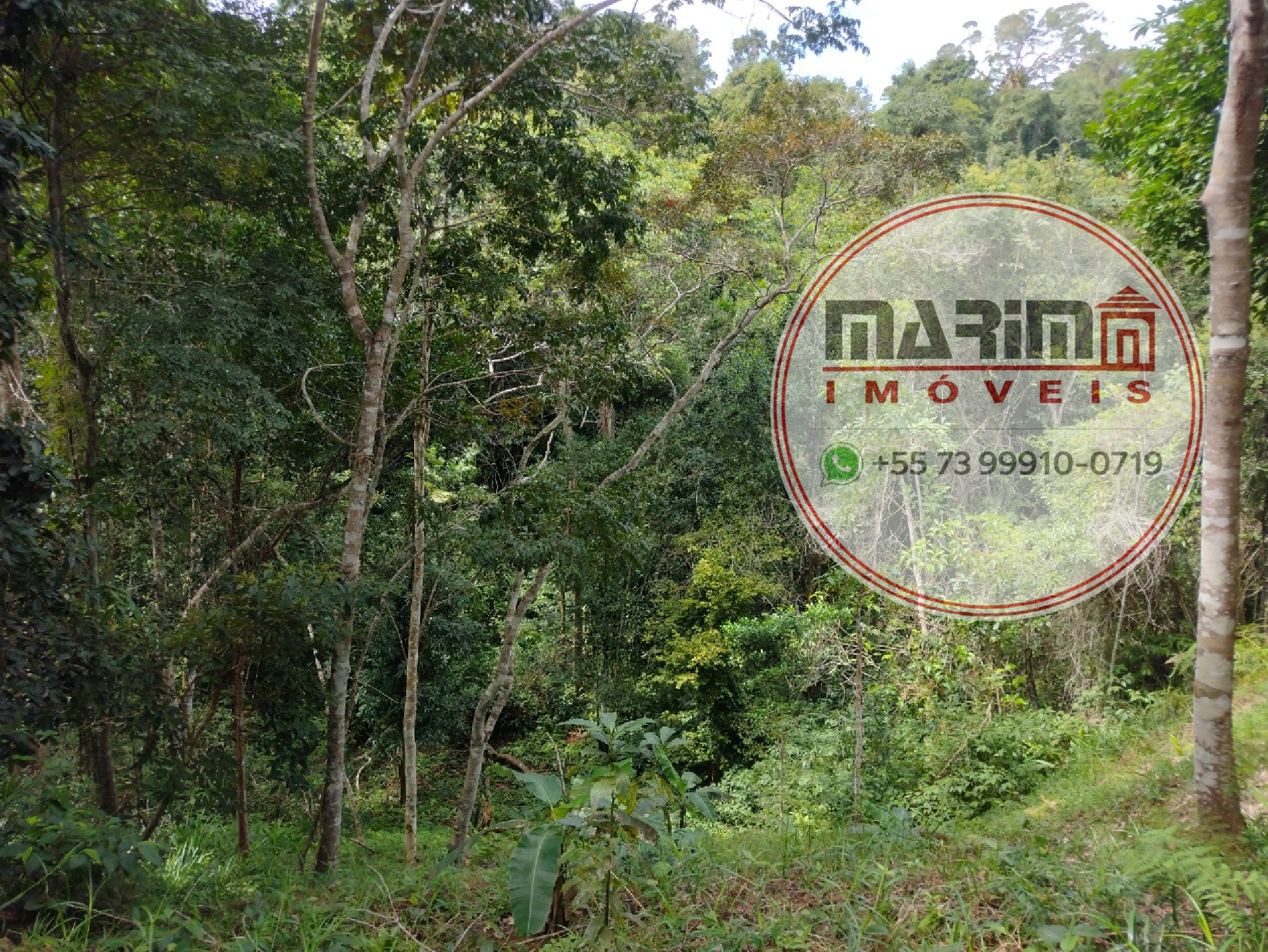 Terreno, 2 hectares - Foto 6