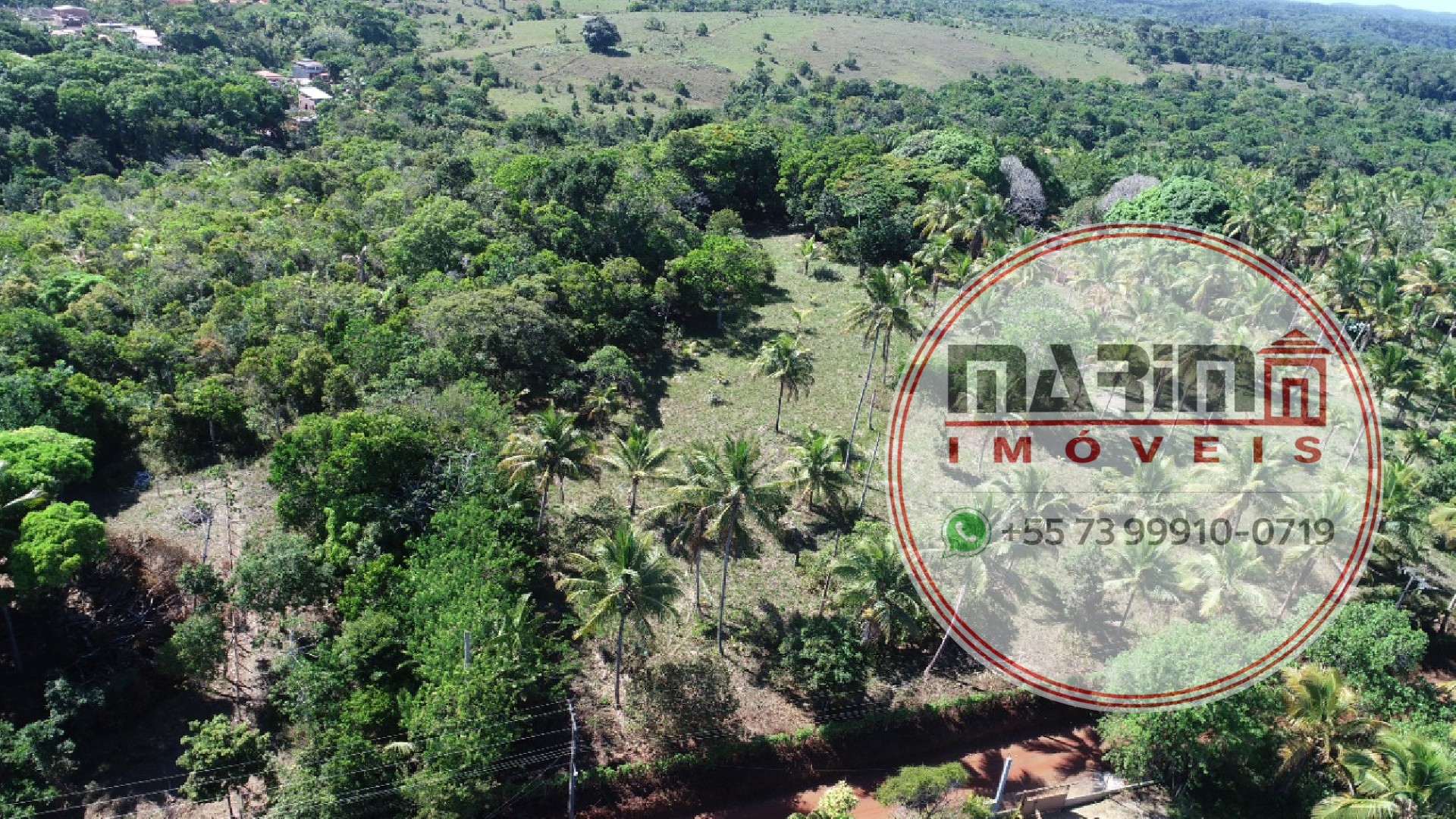 Terreno, 6 hectares - Foto 4