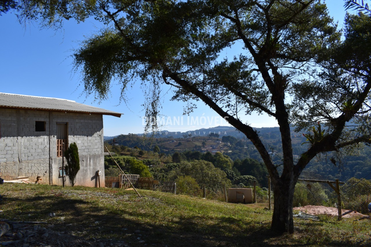 Casa à venda com 3 quartos - Foto 3