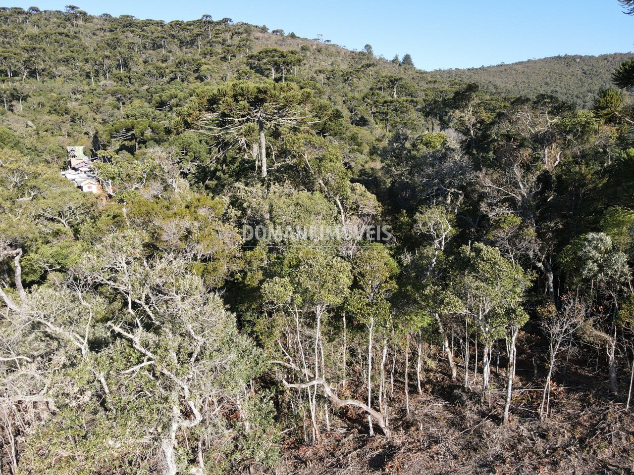 Terreno à venda, 1100m² - Foto 2