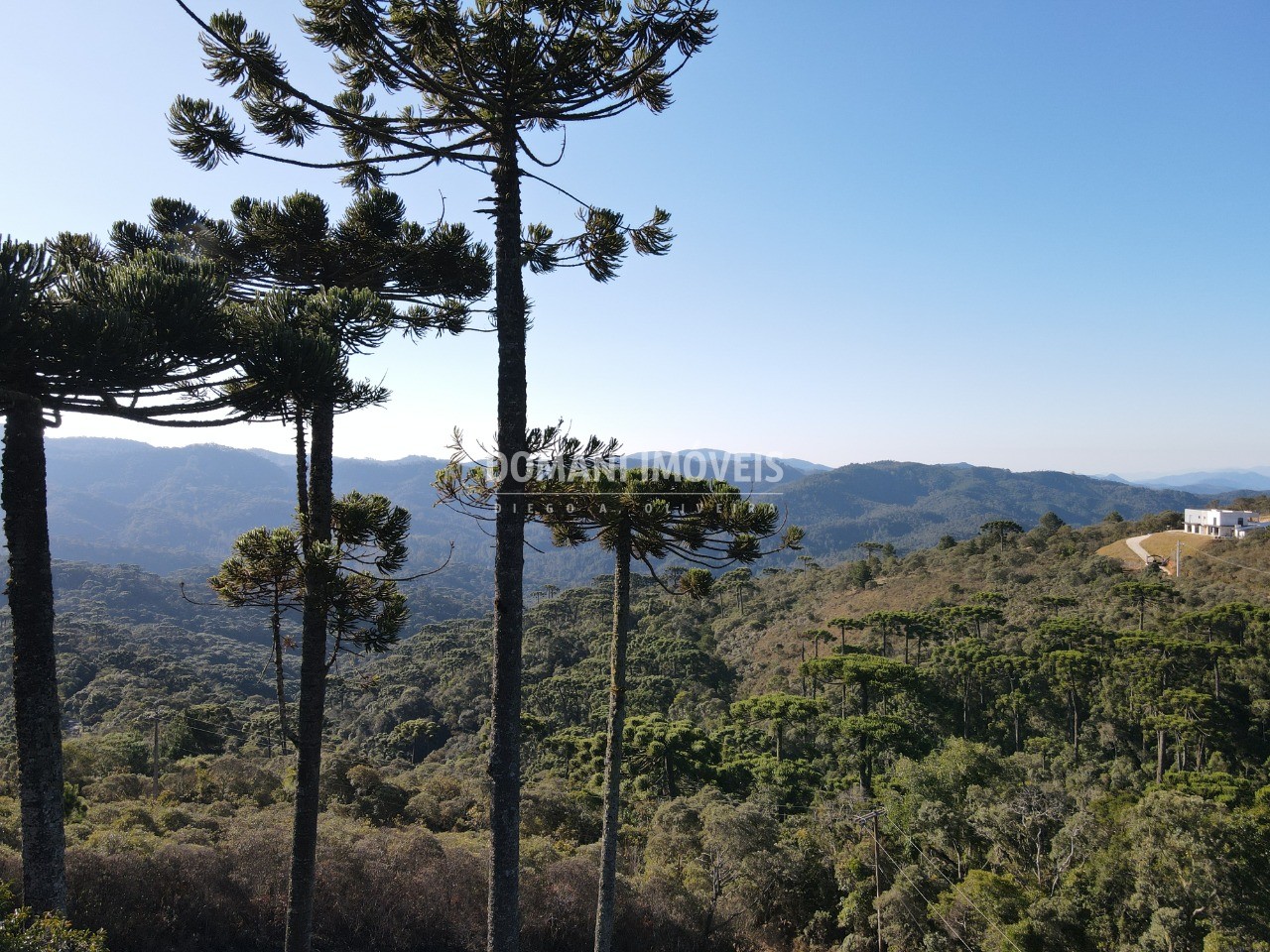 Terreno à venda, 1100m² - Foto 3