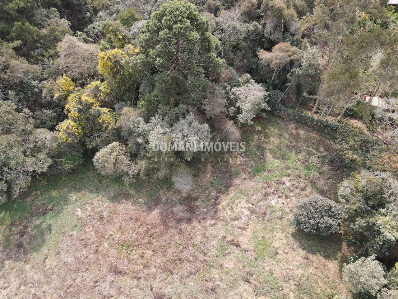 Terreno à venda, 1200m² - Foto 10