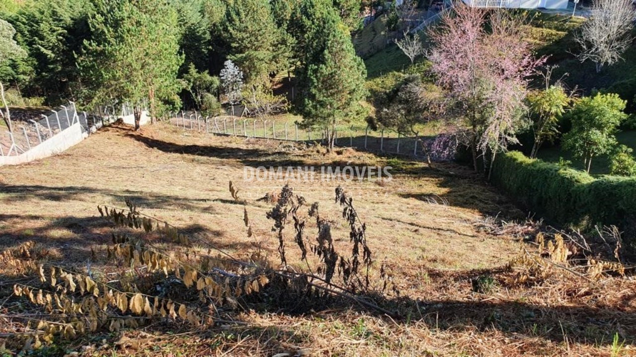 Terreno à venda, 2180m² - Foto 4