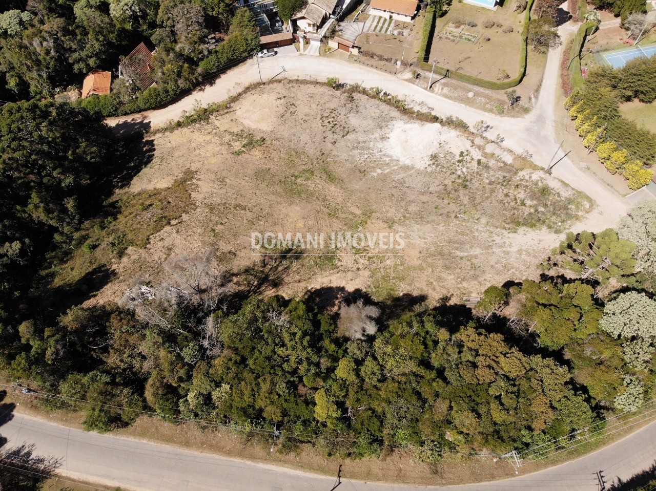 Terreno à venda, 9600m² - Foto 3