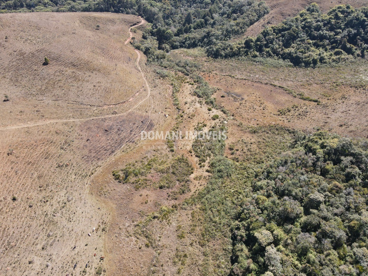 Terreno à venda, 97000m² - Foto 15