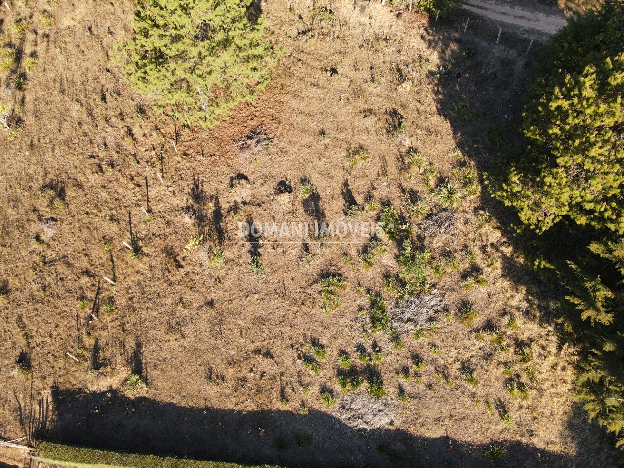 Terreno à venda, 2700m² - Foto 6