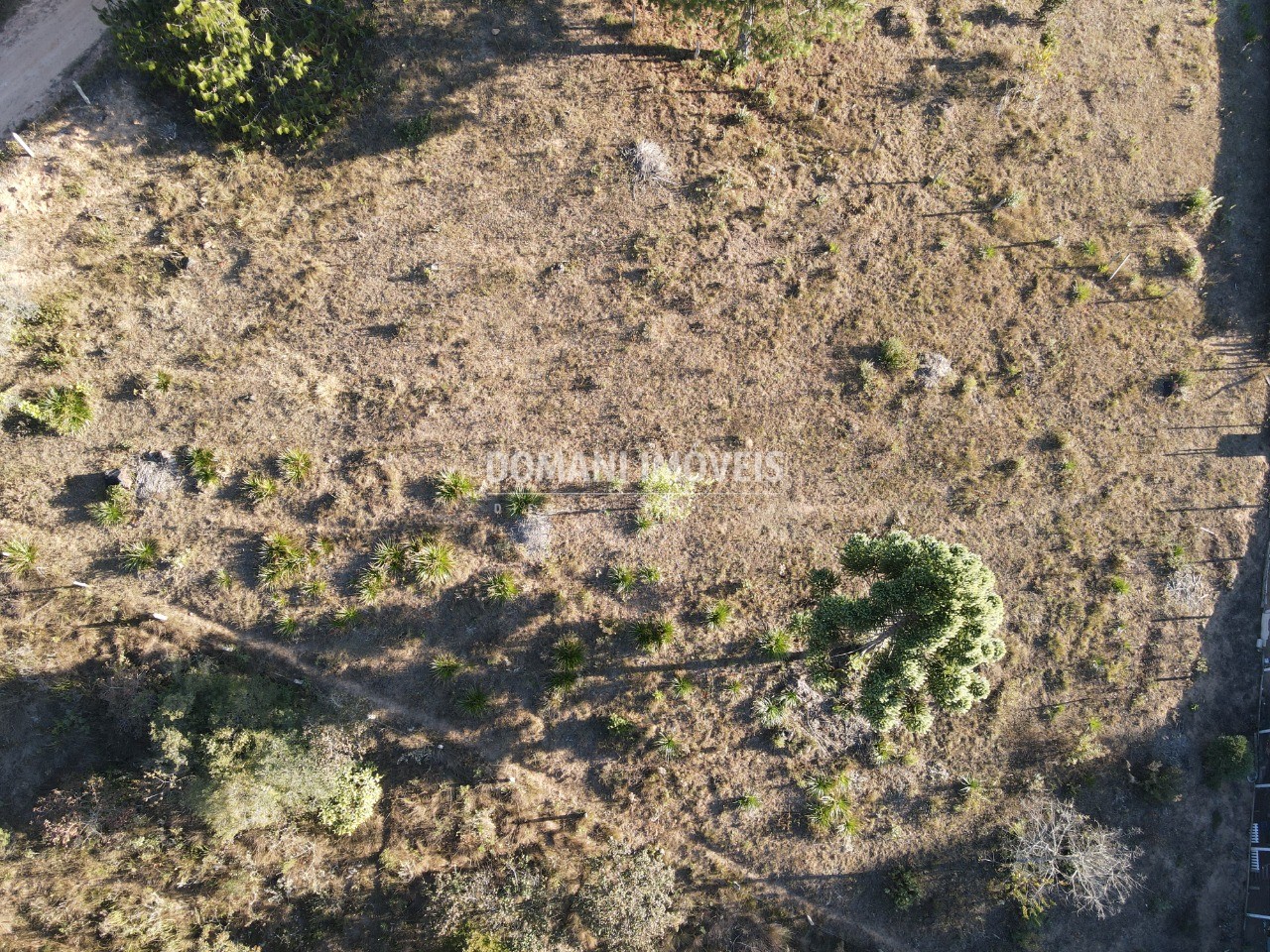 Terreno à venda, 2700m² - Foto 11