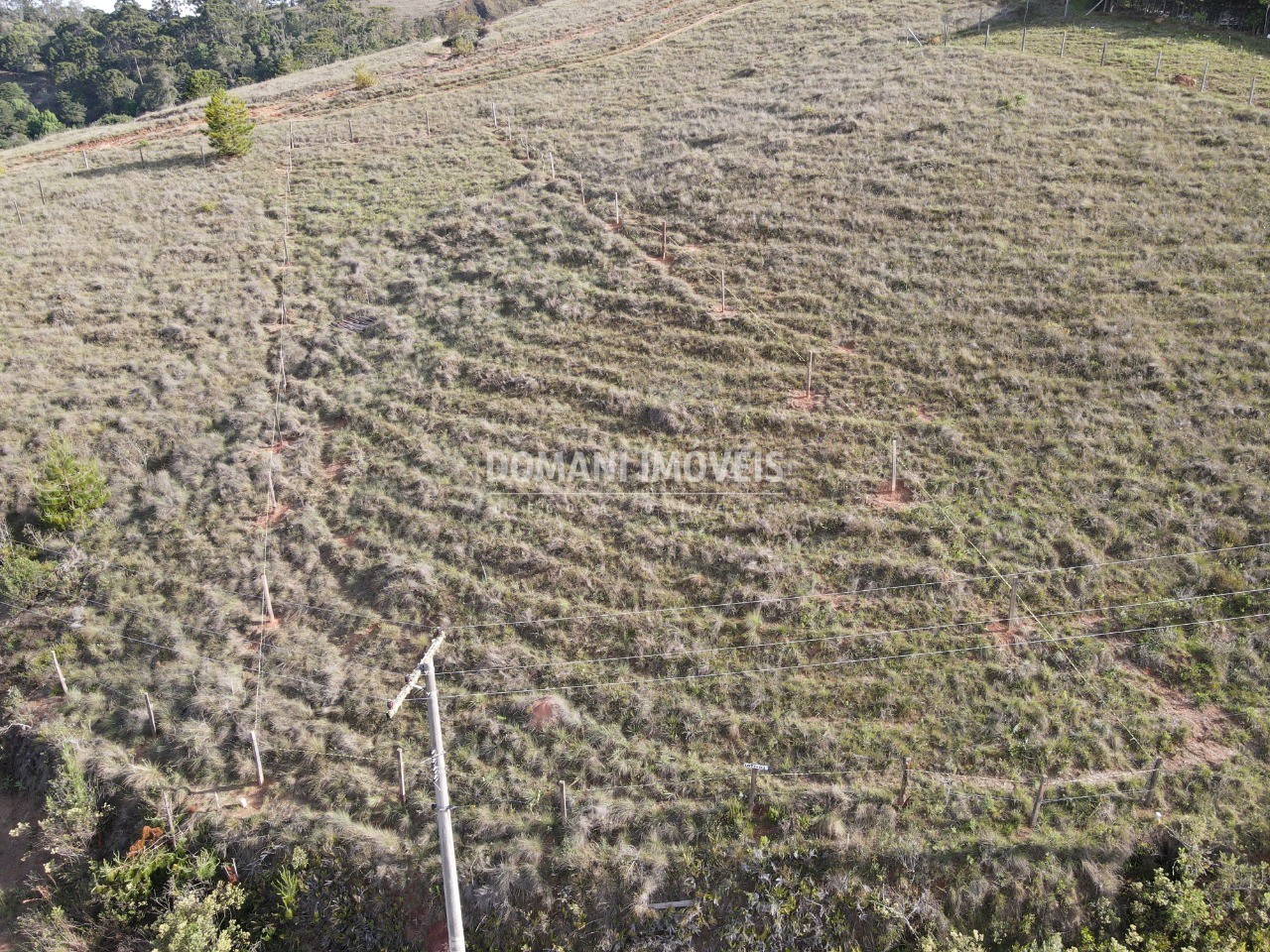 Terreno à venda, 1200m² - Foto 2