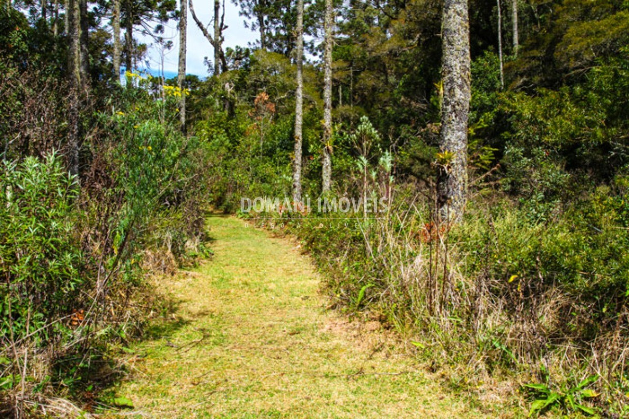 Casa à venda com 5 quartos - Foto 47