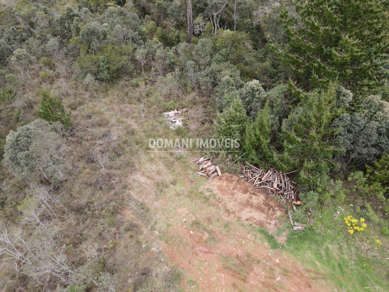 Terreno à venda, 2400m² - Foto 6