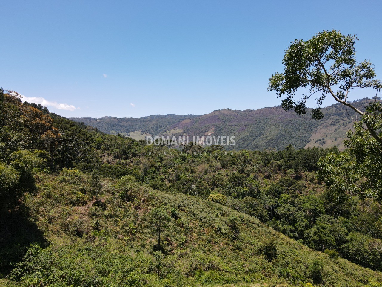 Fazenda à venda, 230000m² - Foto 12