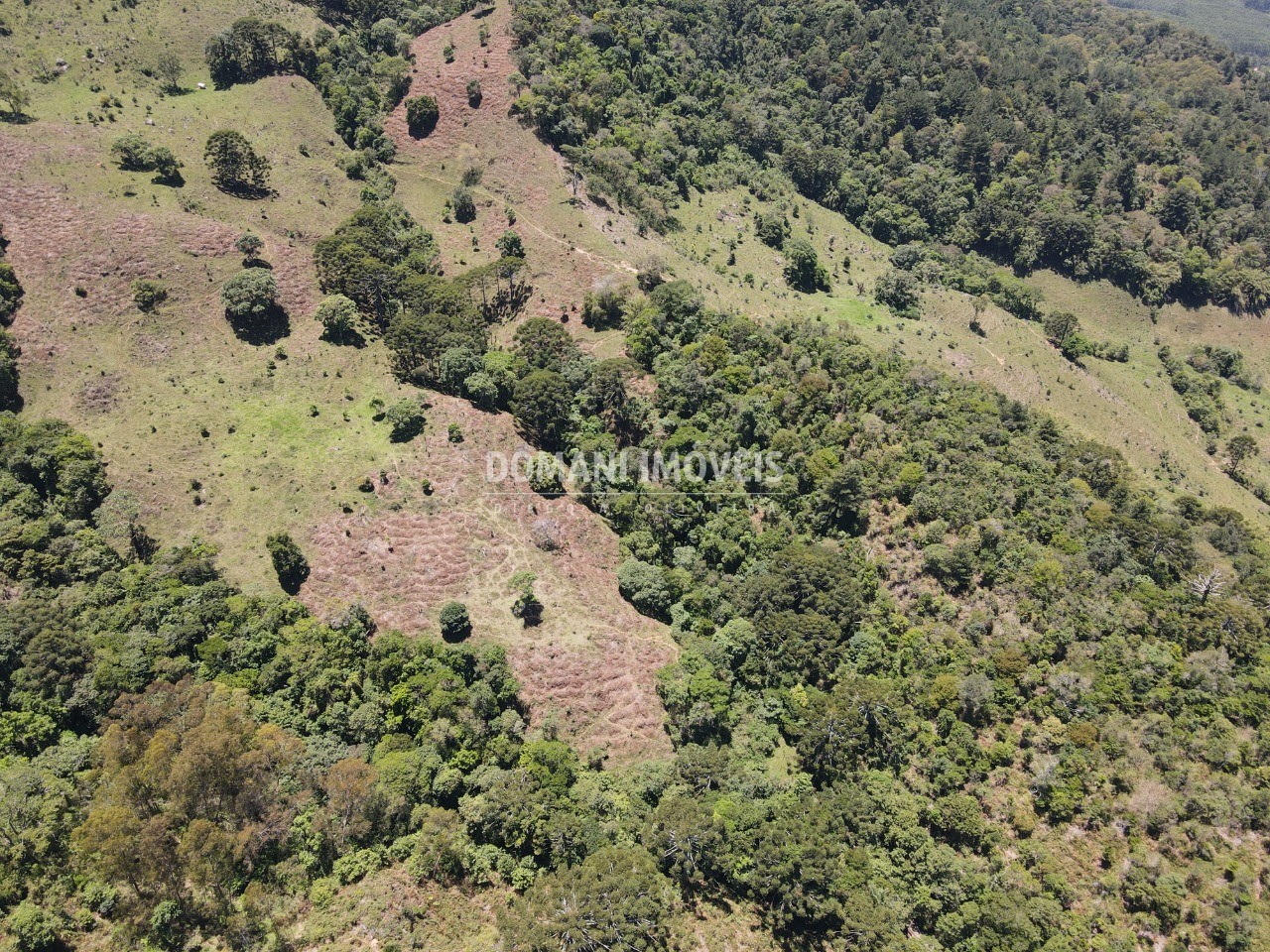 Fazenda à venda, 230000m² - Foto 42