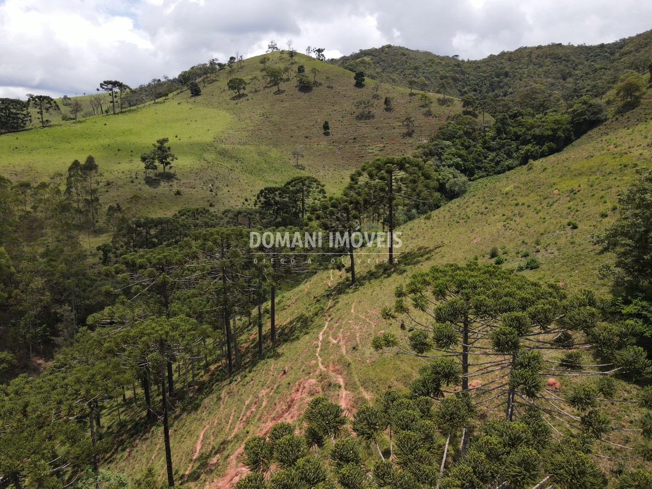 Fazenda à venda com 2 quartos - Foto 34