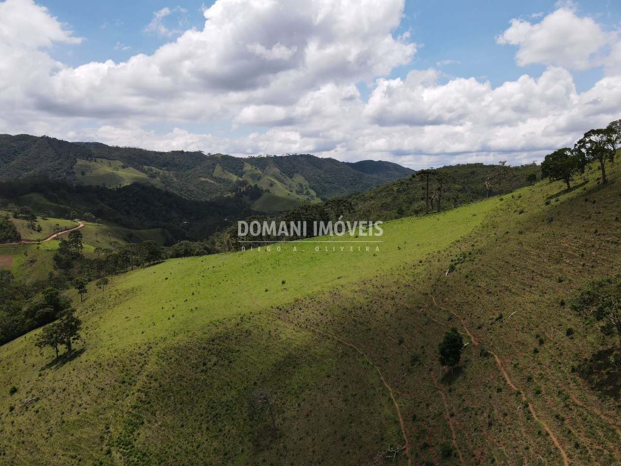 Fazenda à venda com 2 quartos - Foto 10