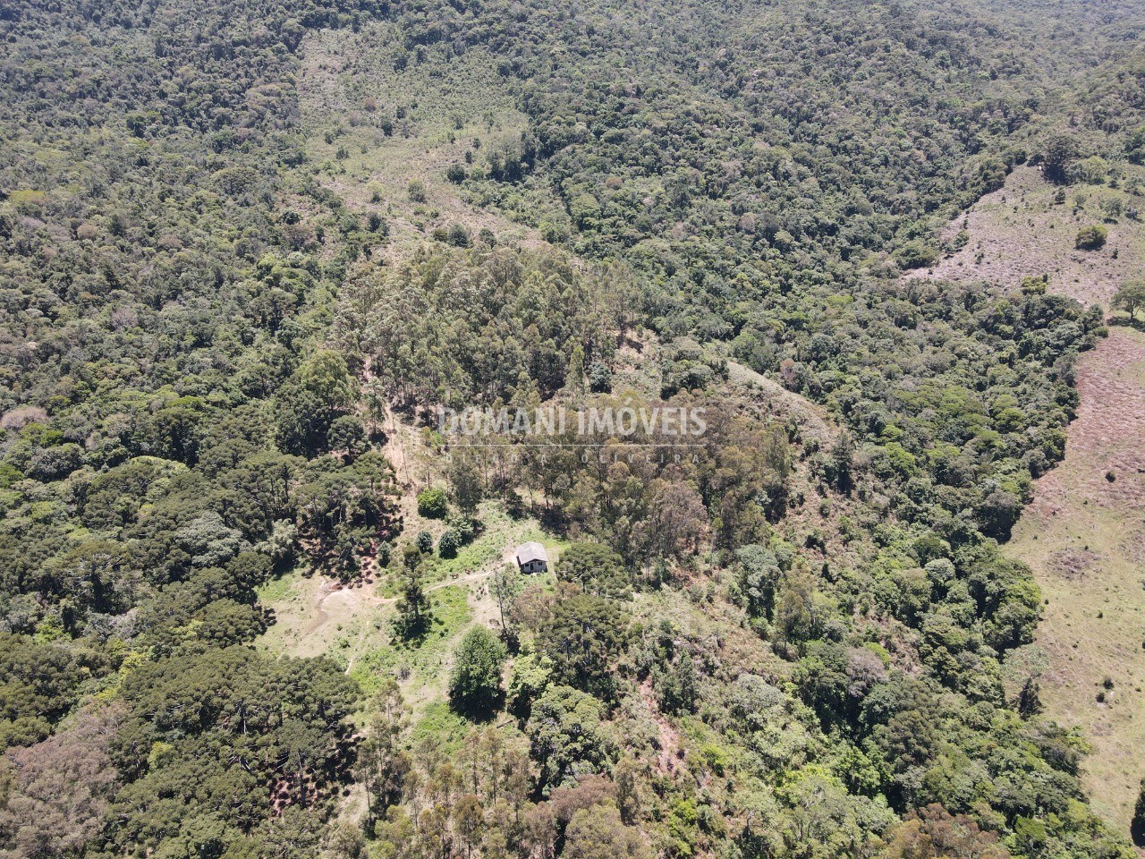 Fazenda à venda, 230000m² - Foto 14