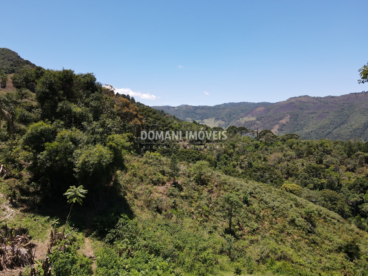 Fazenda à venda, 230000m² - Foto 3