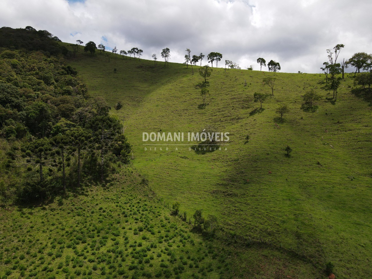 Fazenda à venda com 2 quartos - Foto 67