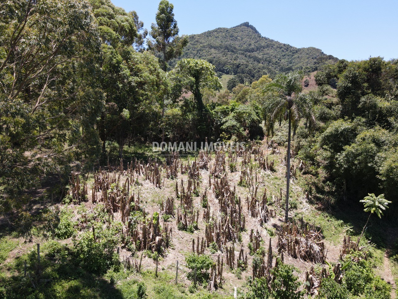 Fazenda à venda, 230000m² - Foto 40