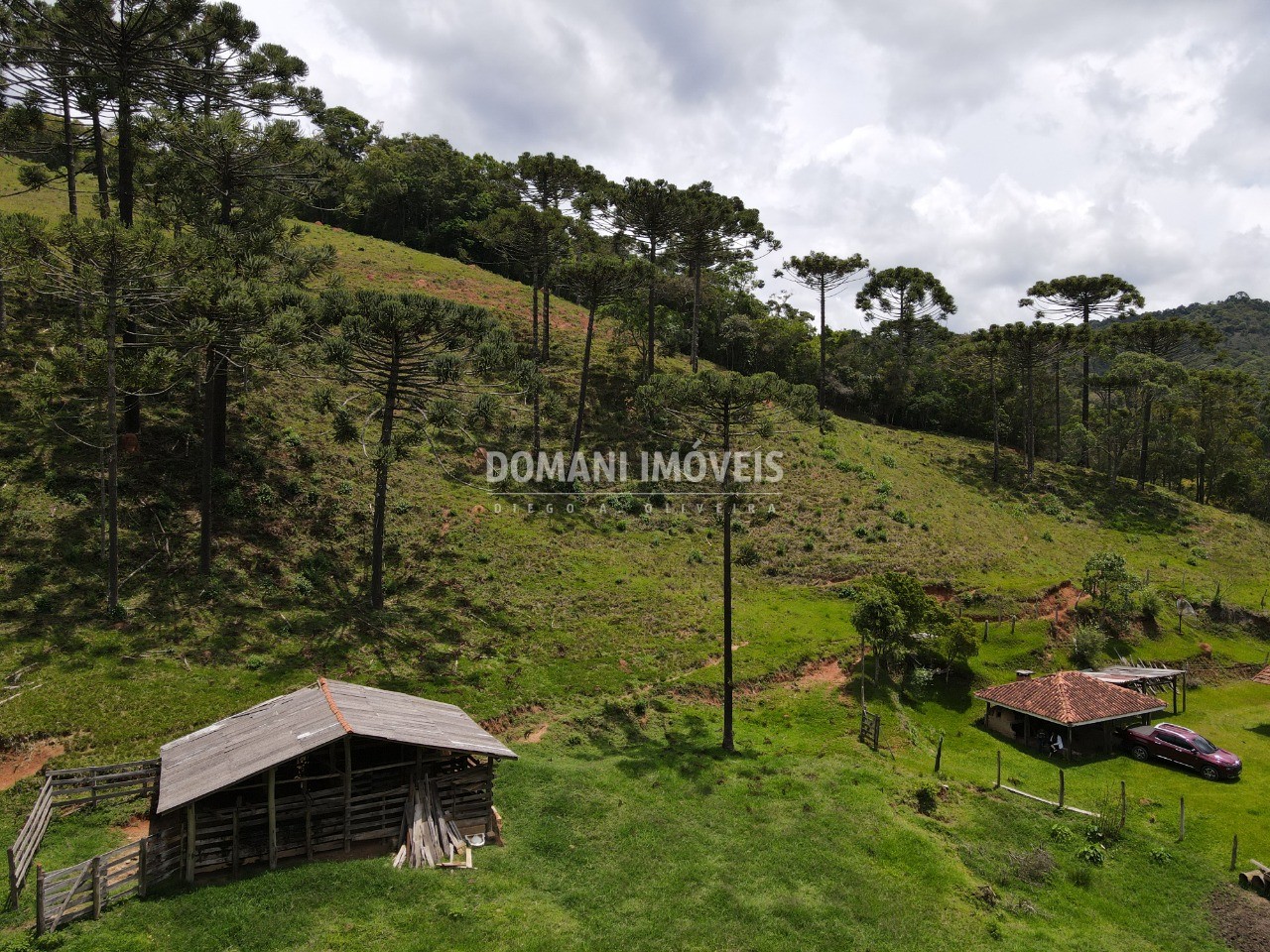 Fazenda à venda com 2 quartos - Foto 35