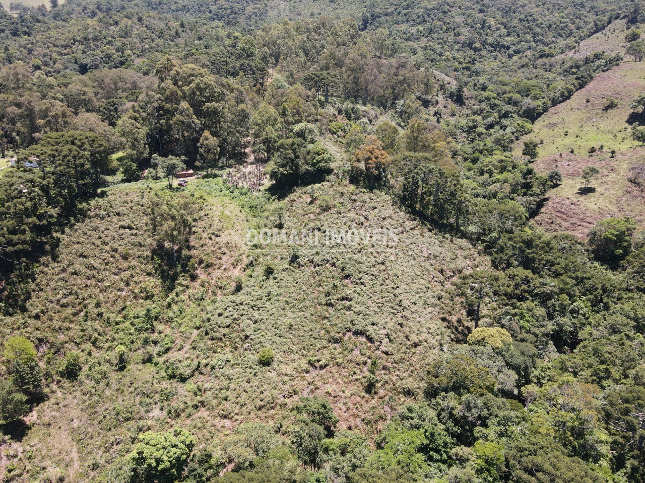 Fazenda à venda, 230000m² - Foto 22