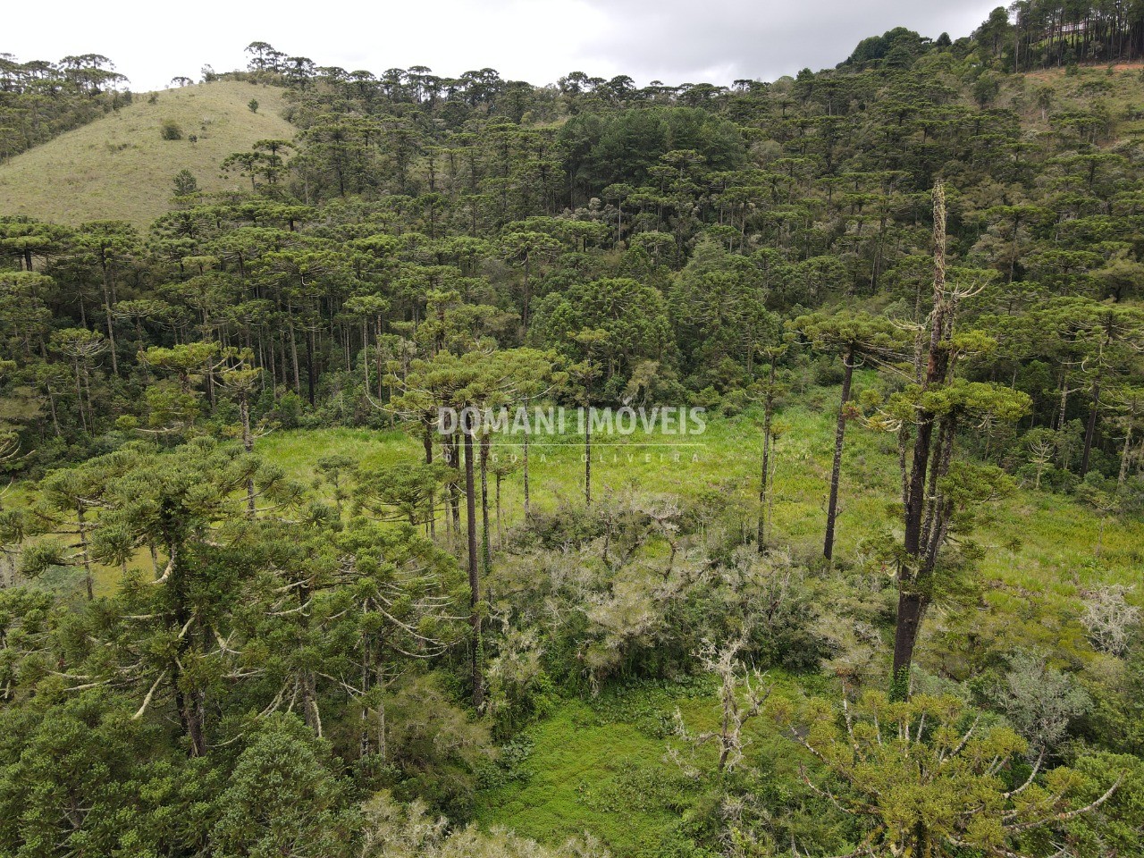 Terreno à venda, 21950m² - Foto 7