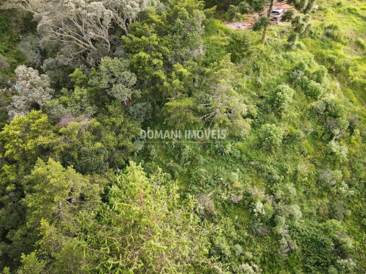 Terreno à venda, 2100m² - Foto 3