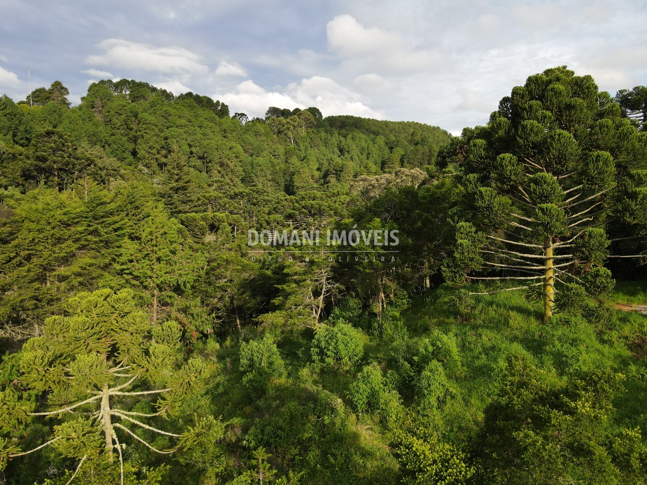 Terreno à venda, 2100m² - Foto 10