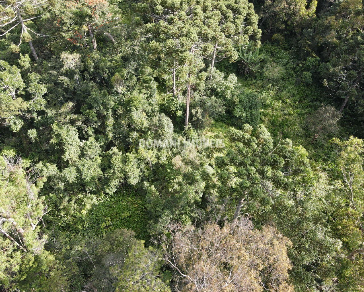 Terreno à venda, 130000m² - Foto 7