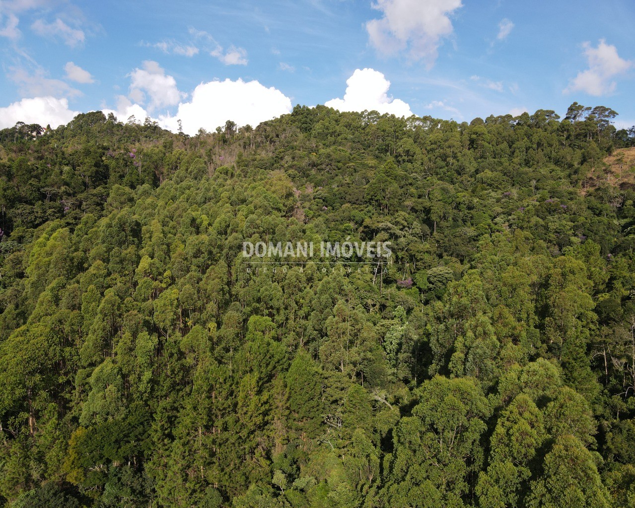 Terreno à venda, 130000m² - Foto 2