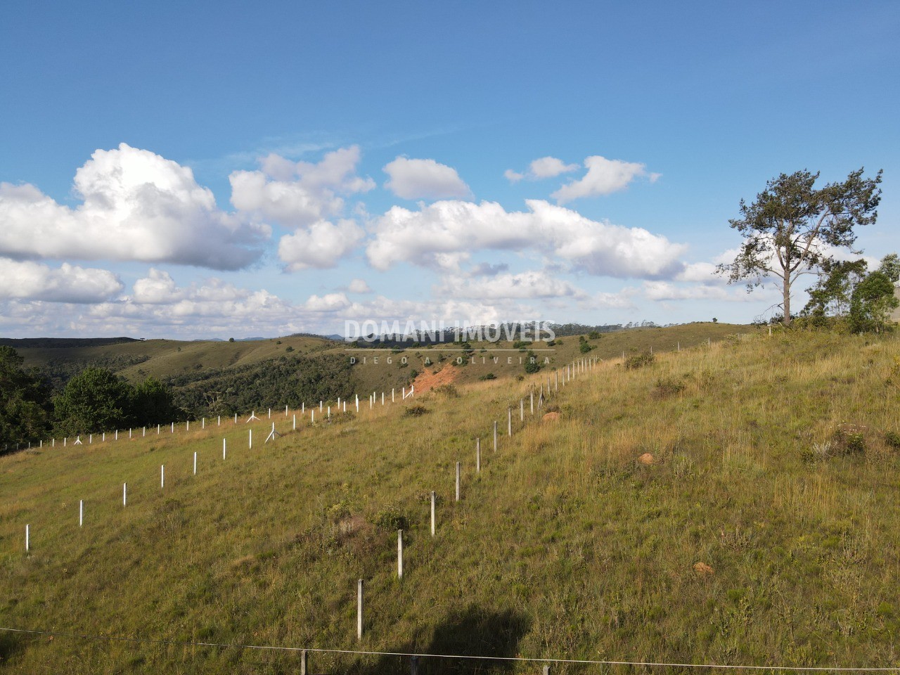 Terreno à venda, 1160m² - Foto 7