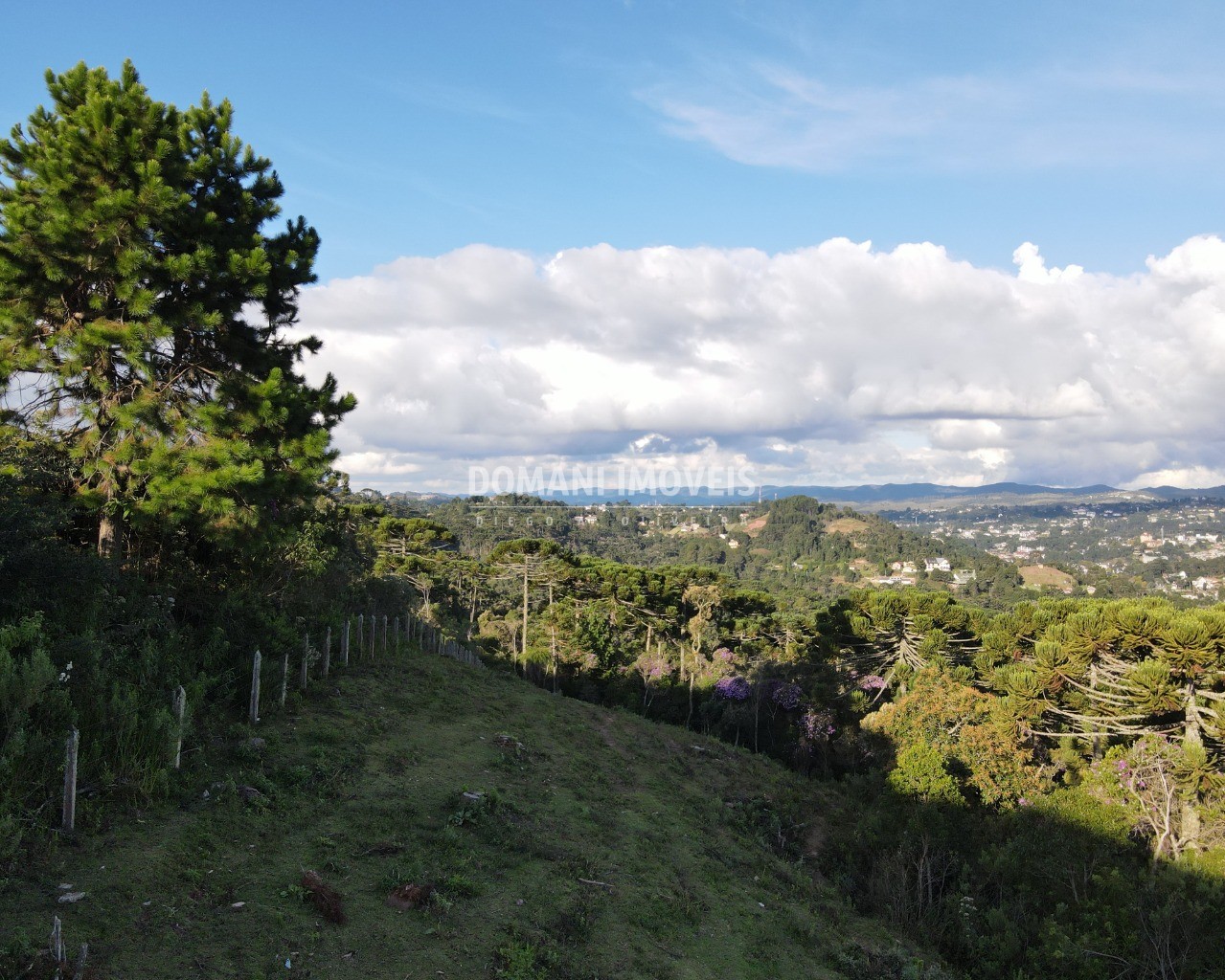 Terreno à venda - Foto 5