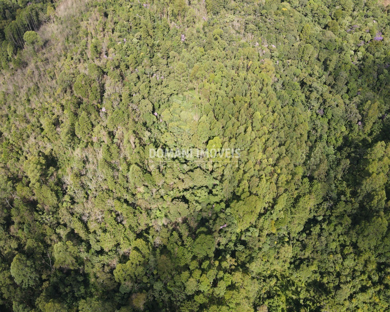 Terreno à venda, 130000m² - Foto 30