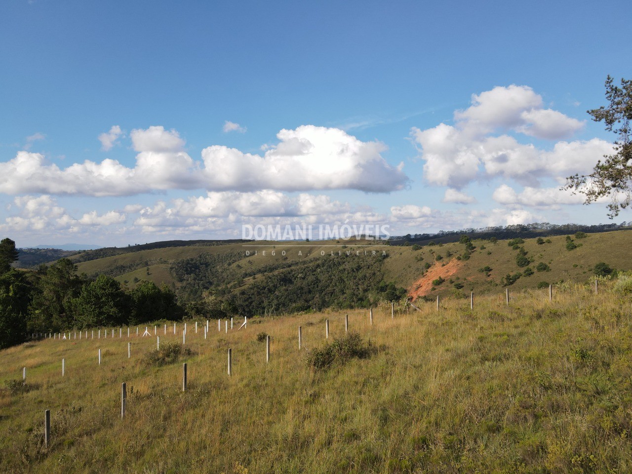 Terreno à venda, 1160m² - Foto 3