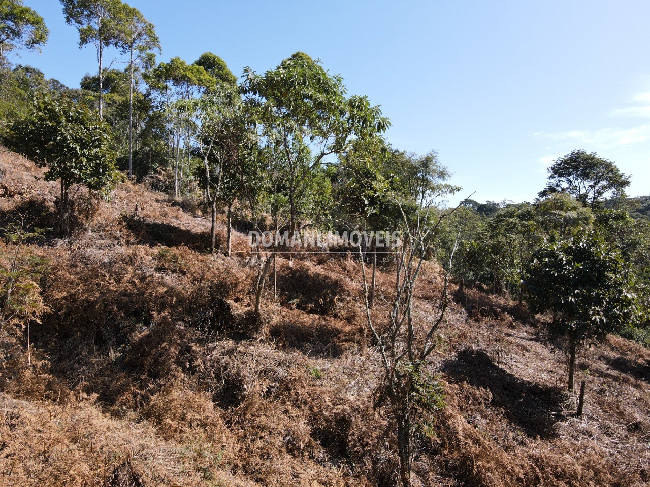 Terreno à venda, 5000m² - Foto 14