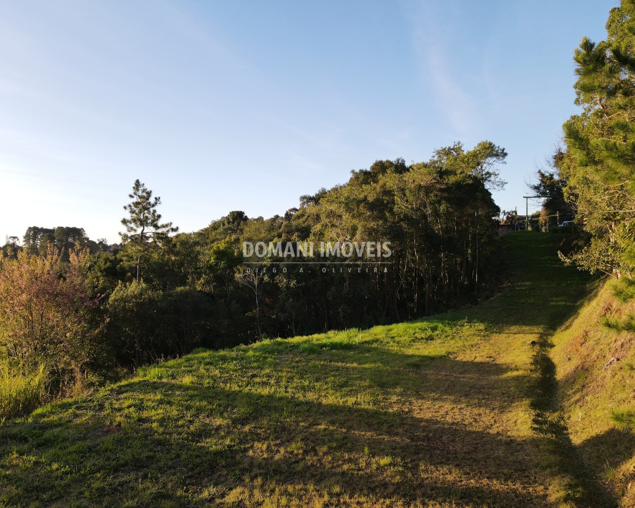 Terreno, 4300 m² - Foto 5