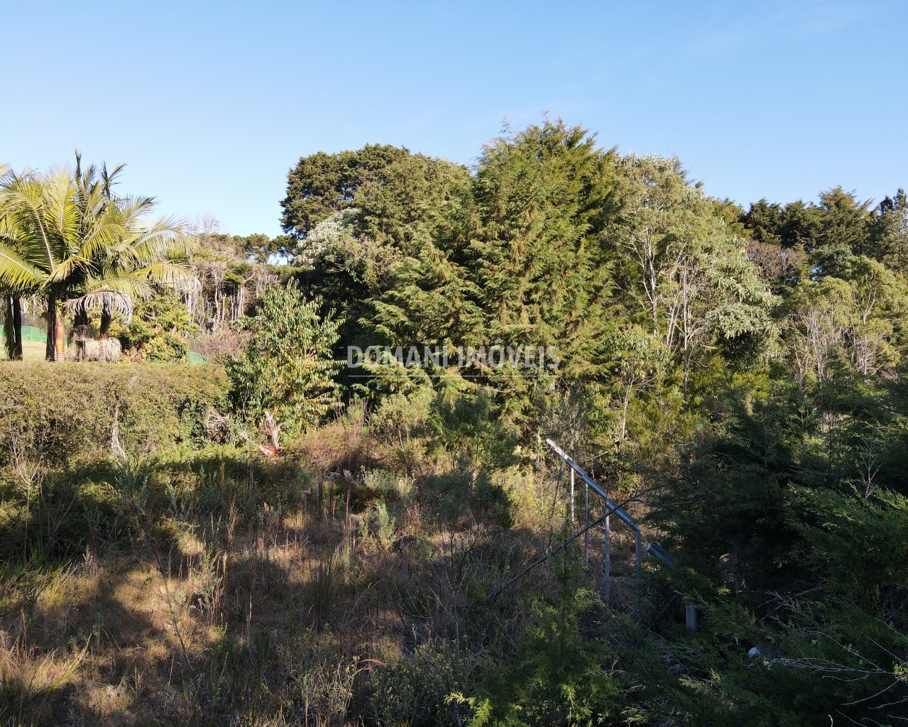 Terreno à venda, 1450m² - Foto 7