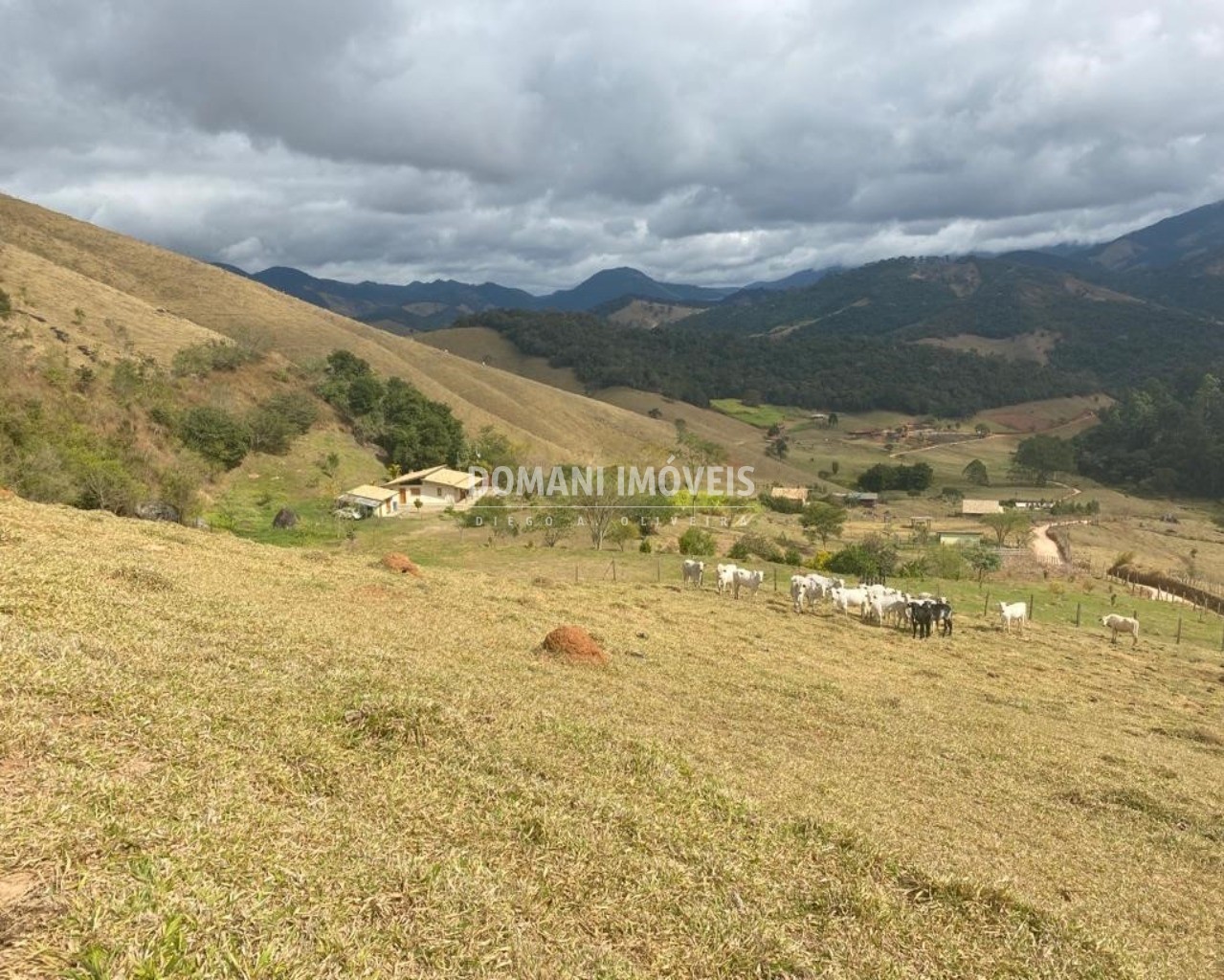 Fazenda à venda com 2 quartos - Foto 6